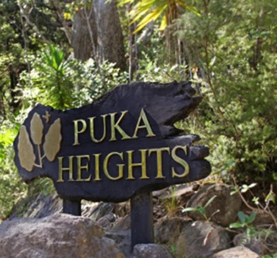 Puka Heights Bed & Breakfast Pauanui Bagian luar foto